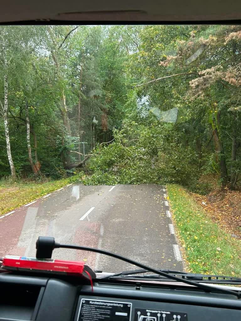 Silny wiatr na Lubelszczyźnie. Drzewo runęło na jadący samochód [ZDJĘCIA]