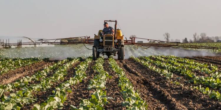 24.08.2026 Agrobiznes - jak właściwie stosować środki ochrony roślin? 1 EAttachments9706427a898d1464891c2ff61c8605a566d3d0b xl