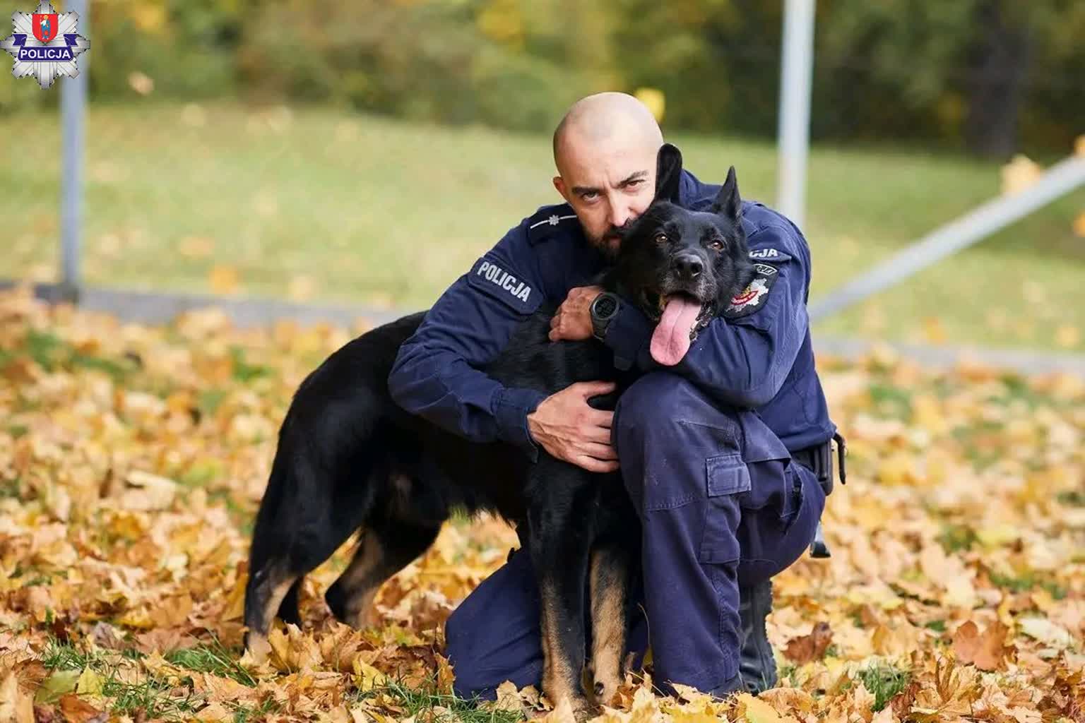 Czworonożny emeryt. Czort zakończył służbę w policji 3 361-296312.jpg