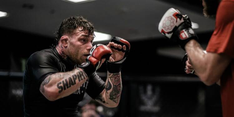 Jak wybrać rękawice MMA? Poradnik dla trenujących i kupujących pierwszy sprzęt 1 EAttachments9711088f035e7985b2094d7de37f030088b56ba xl