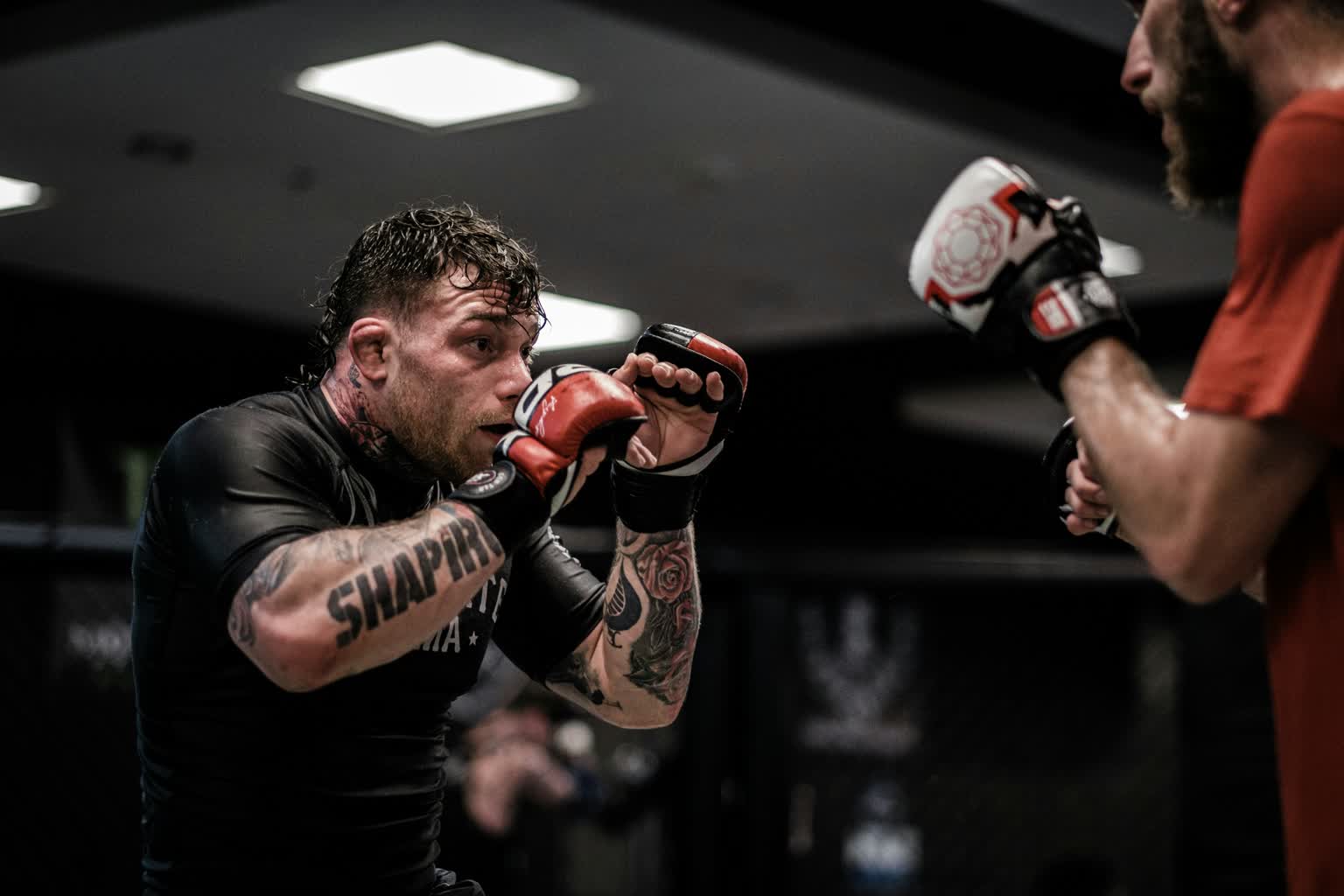 Jak wybrać rękawice MMA? Poradnik dla trenujących i kupujących pierwszy sprzęt