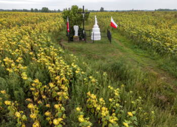 Wołyń: rozpoczęły się uroczystości pogrzebowe polskich ofiar zbrodni w Ostrówkach i Woli Ostrowieckiej 2 EAttachments9718690af8d5cf2434bf931ea06b79489dbeb9d xl
