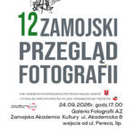 12 PFZ PLAKAT zm I