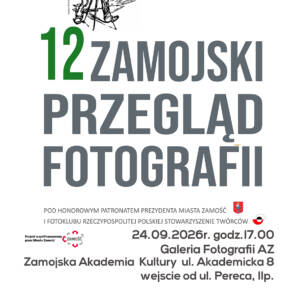 12 PFZ PLAKAT zm I