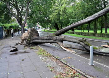 Silny wiatr w Polsce. Strażacy interweniowali również w Lubelskiem 3 EAttachments973158868ec385414f69d25e5f493681a8a50df xl