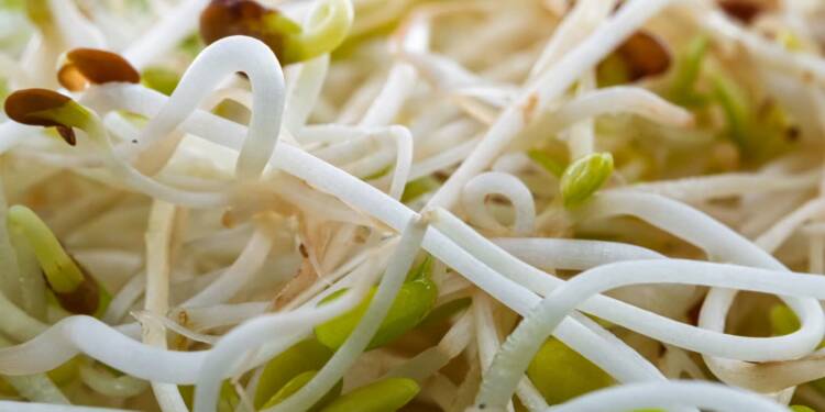 EAttachments9735925134732059071fac48c7be9ba99bf8945 xl