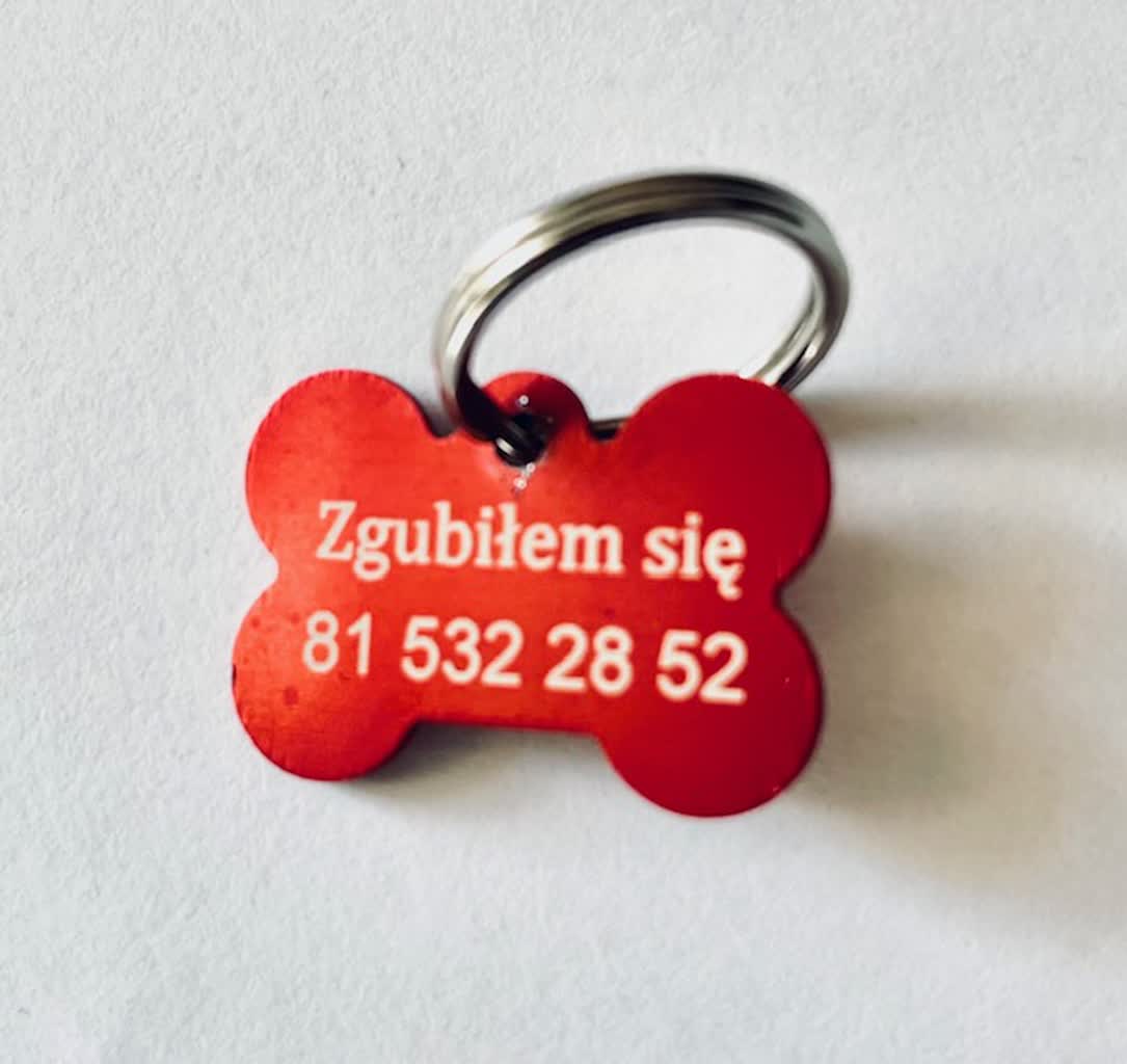 „Zgubiłem się”. Bezpłatne adresatki dla czworonogów w Lublinie 2 Adresatka_fot. Foto Centrum.JPG