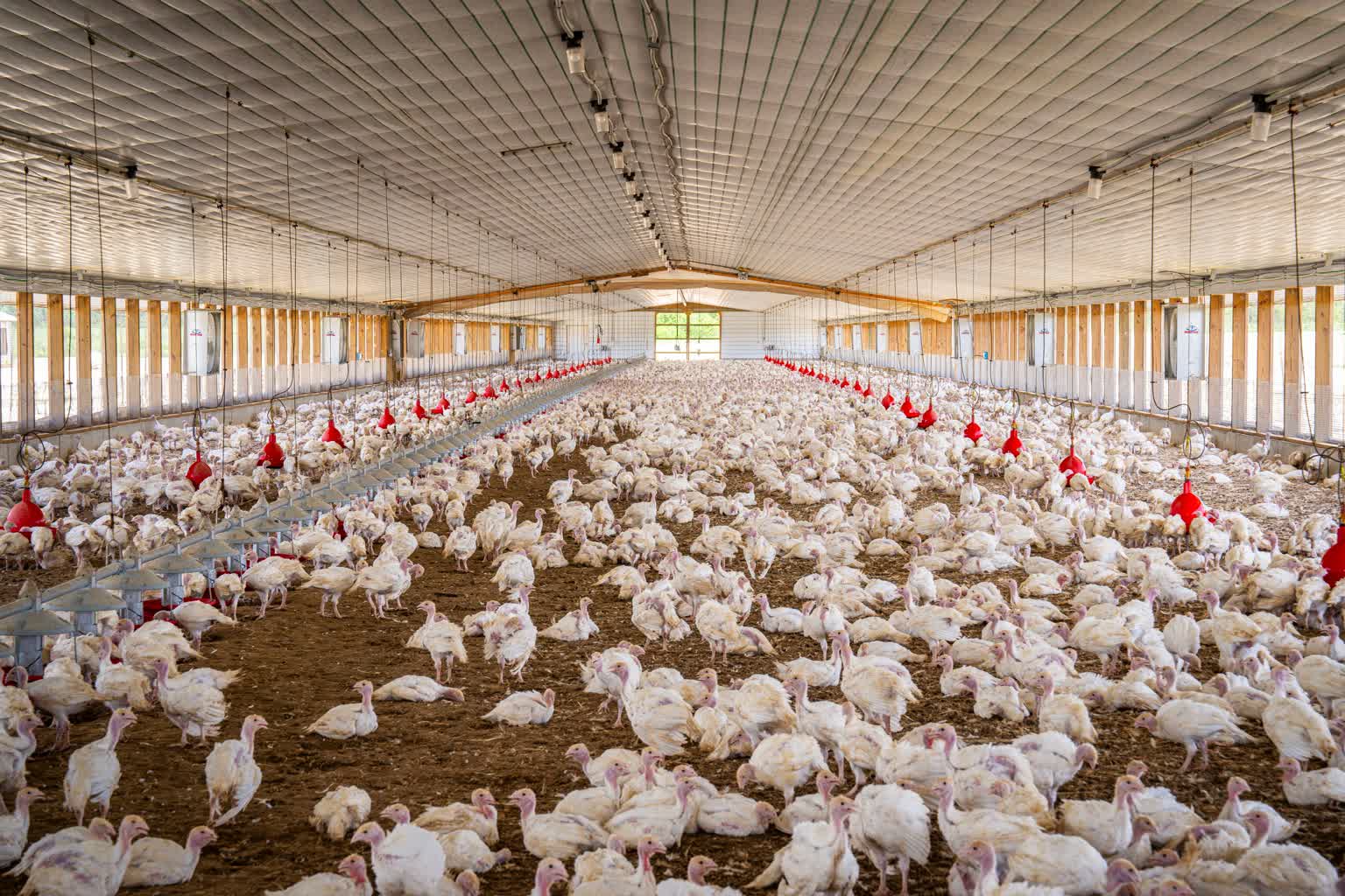 pexels-nc-farm-bureau-mark-27083559.jpg