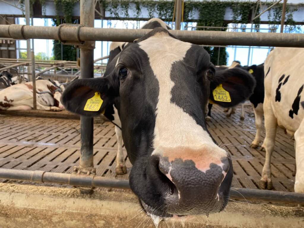 22.09.2026 Agrobiznes - dopłaty do ubezpieczenia zwierząt 1 EAttachments9761831b2810054312fb4f528ce07e380233b2c xl