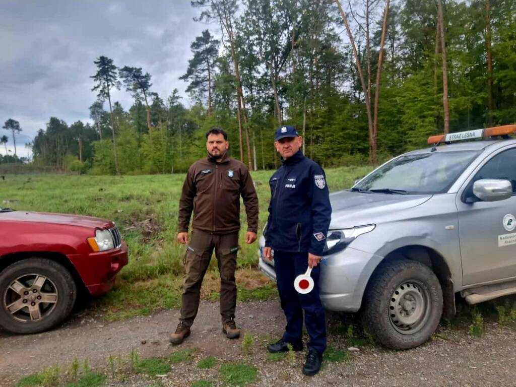 Straż leśna i policja patrolują lasy. Trwa akcja „Jesień 26” 1 EAttachments9778746d46001cf3458c64e0ff43732302424df xl