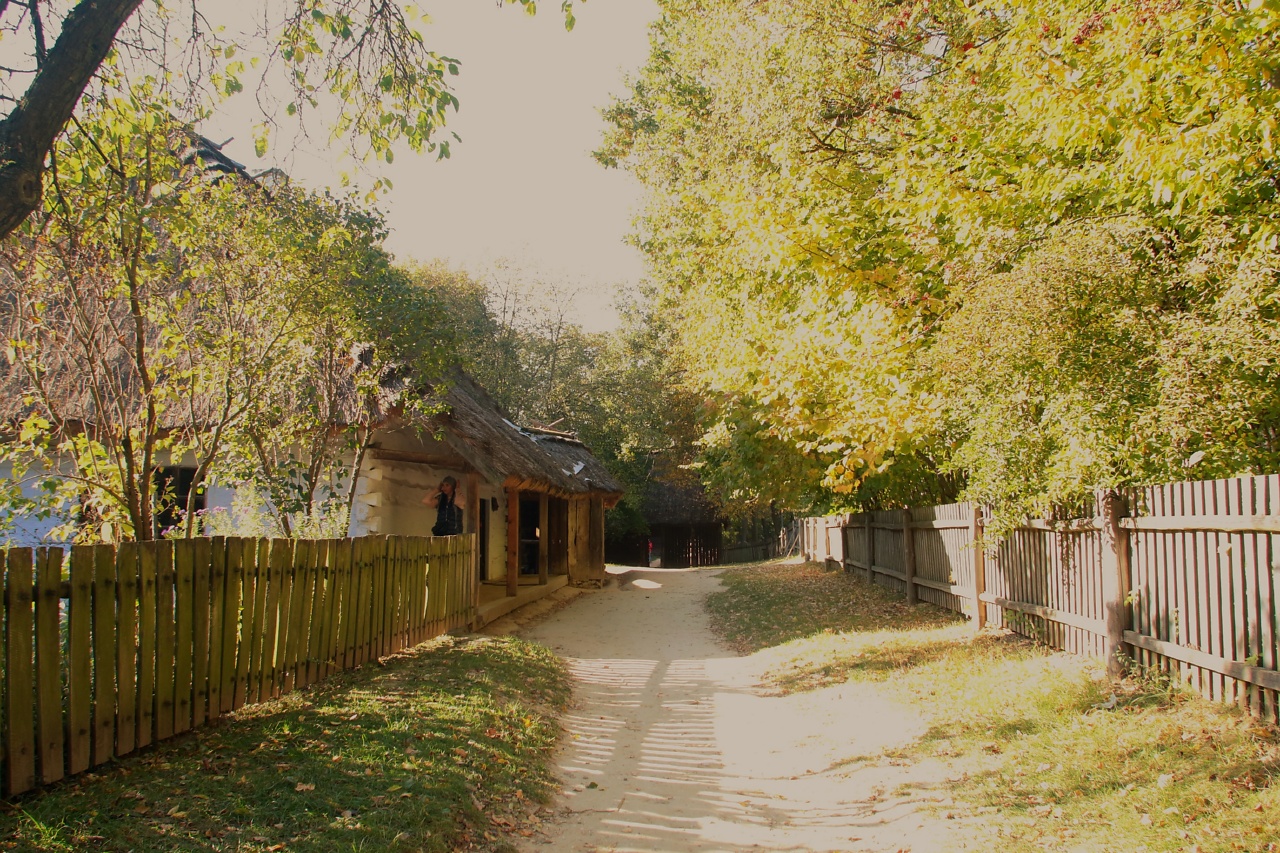 JESIENSKANSEN-101021-003.jpg