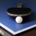 Tenis stołowy: przegrana Vist.eu Trefla Zamość 10 EAttachments6140857c69ed41d2e7d3a3663a5b00be0190e38
