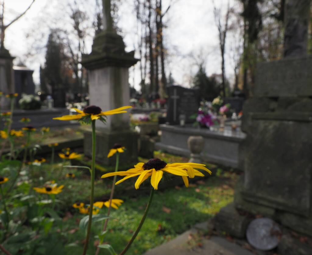 Mieszkańcy Hrubieszowa, uczniowie i seniorzy razem posprzątają groby 1 EAttachments74876806602522882a08ed036f923eac8dd2032