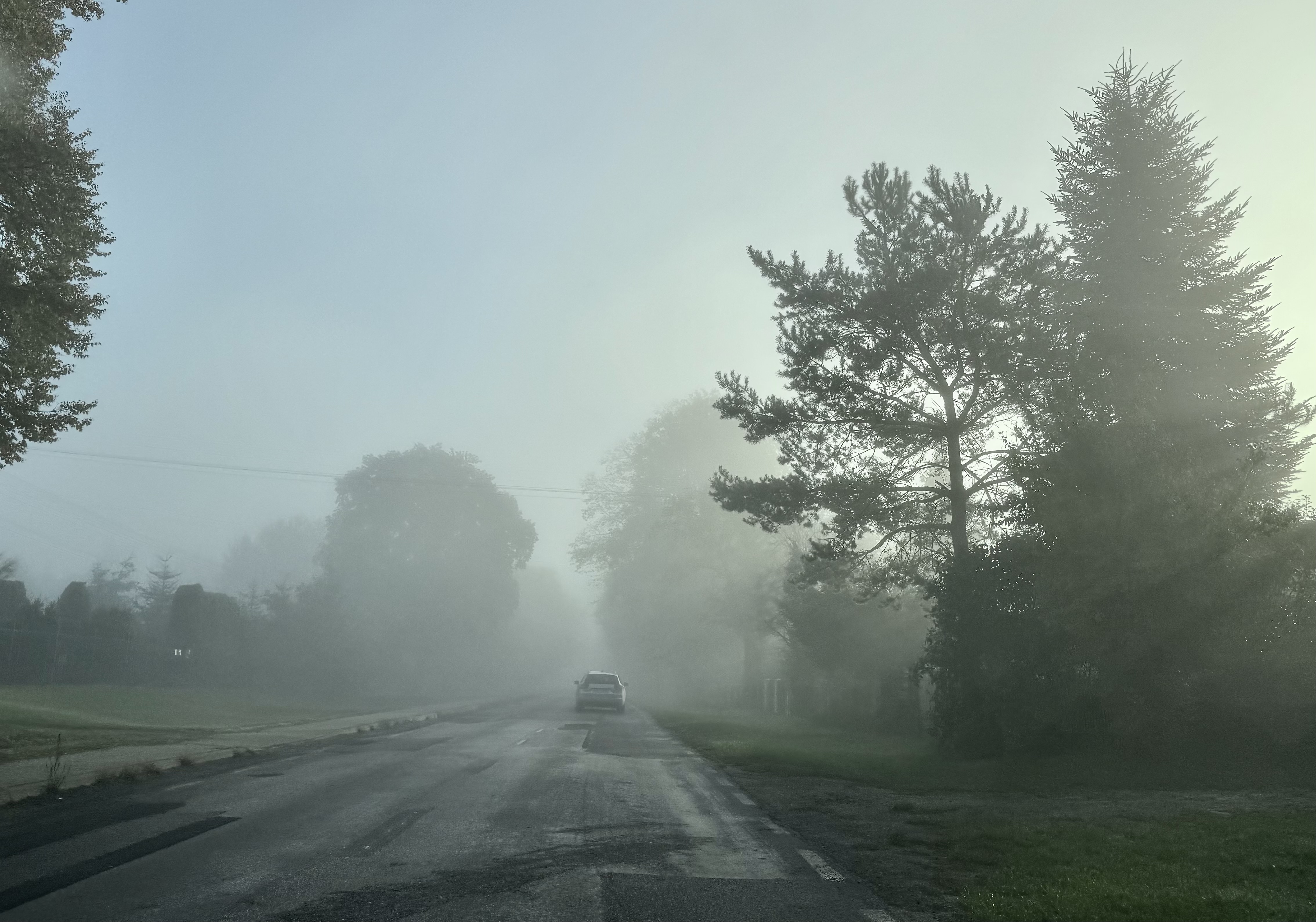 Gęsta mgła w regionie. Synoptycy ostrzegają