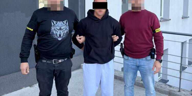 Groźnie potrącił policjanta. Zarzuty dla motocyklisty 1 EAttachments9787369ef191d2094576191c755609c8fd4a640 xl