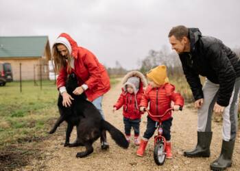 Nie tylko pupile, ale członkowie rodziny. Dziś Światowy Dzień Zwierząt 4 EAttachments978802974fc61c711a511b0e949749475598a34 xl