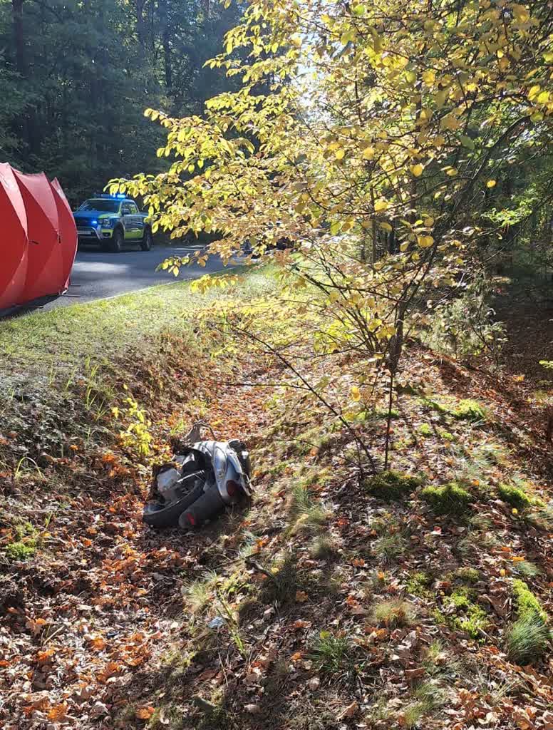 Śmiertelny wypadek w gminie Zwierzyniec. Nie żyje 70-letni kierowca skutera 2 840663912_1077938902006532_6786029292284846091_n.jpg