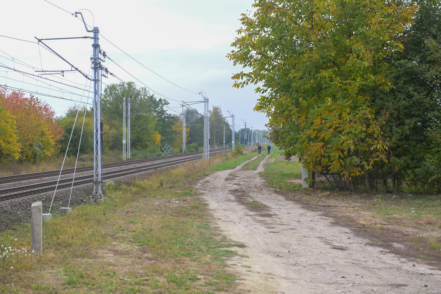 LW1_9359.jpg