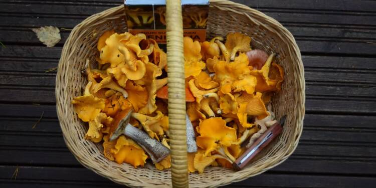 EAttachments9820607830bb07c840190b401e74f6ed9633f17 xl