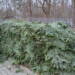 EAttachments9821019be0609c7ecf537dd55e1e29366ce6e68 xl