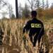 Powiat biłgorajski: grzybiarka odnaleziona przez policjantów 10 EAttachments98210206be575ddda297eff77bddeff79d5f9f8 xl 1024x684 1