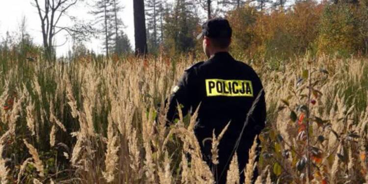 Powiat biłgorajski: grzybiarka odnaleziona przez policjantów 1 EAttachments98210206be575ddda297eff77bddeff79d5f9f8 xl